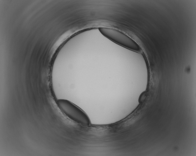 X0000115690997200912241458
