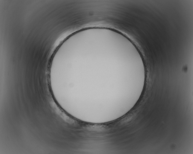 X0000115690998200912241458