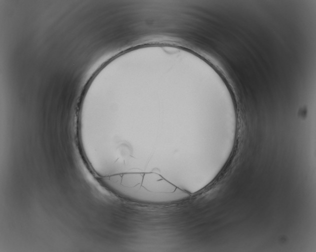 X0000115690999200912241458