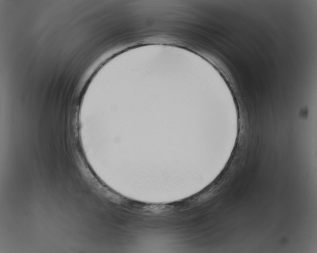 X0000115691000200912241458