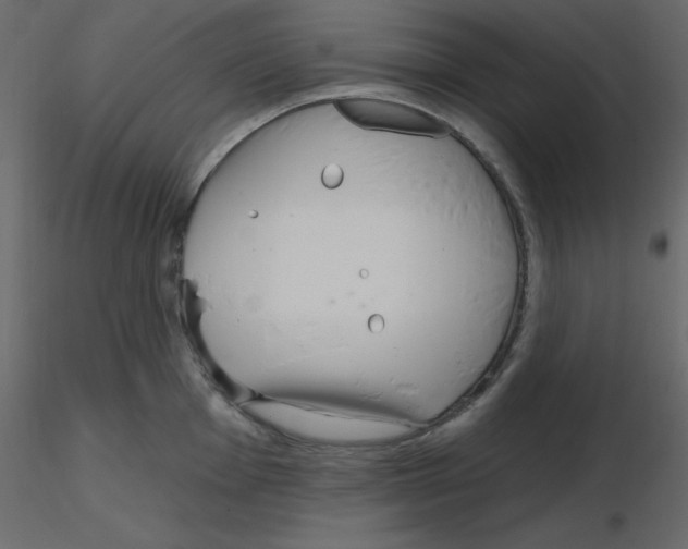 X0000115691001200912241458