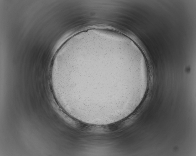 X0000115691002200912241458