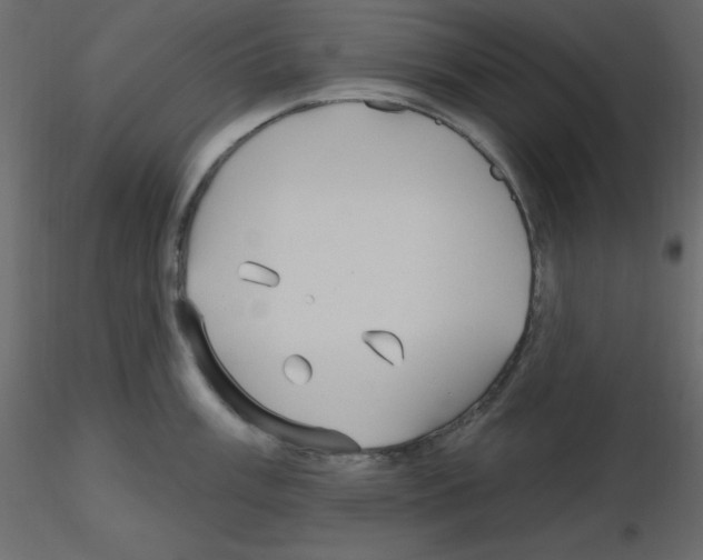 X0000115691003200912241458