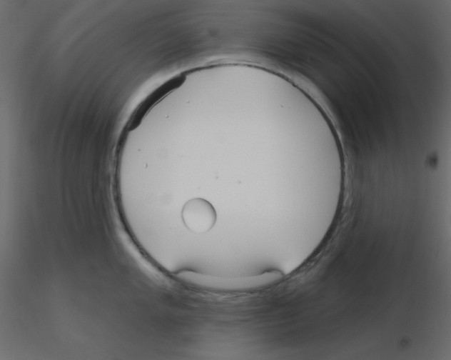 X0000115691005200912241458
