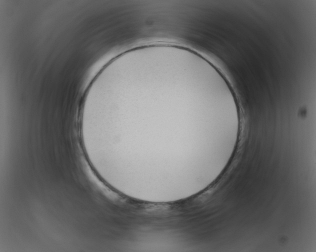 X0000115691006200912241458