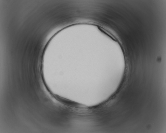 X0000115691007200912241458