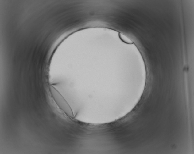 X0000115691008200912241458