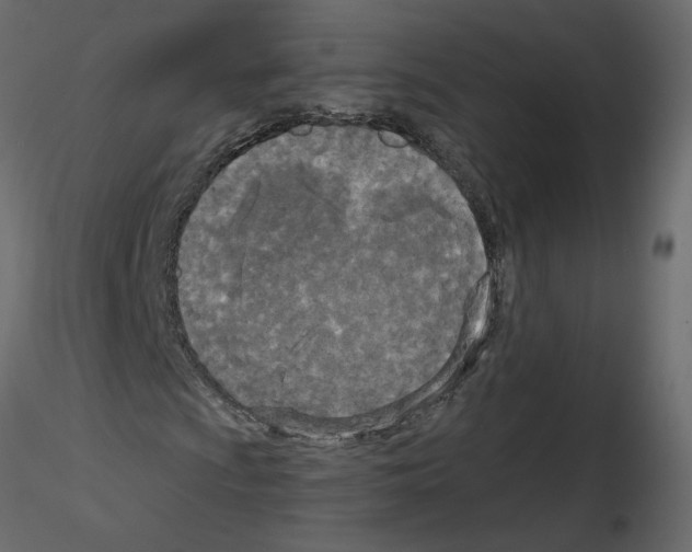 X0000115691009200912241457