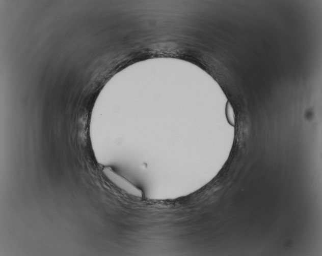 X0000115691010200912241457