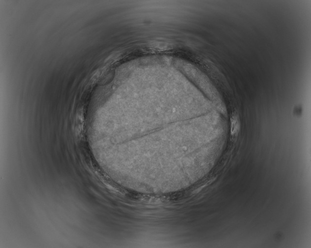 X0000115691011200912241457
