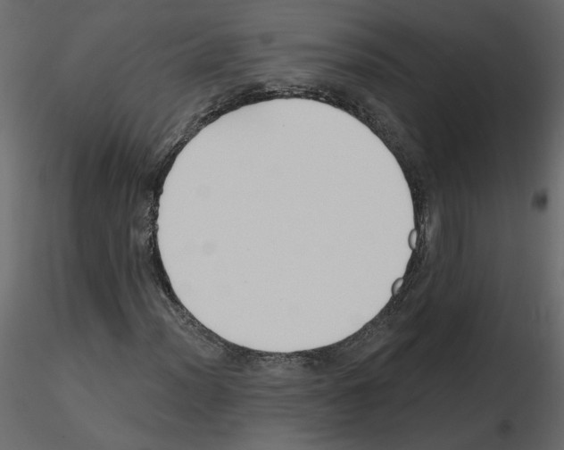 X0000115691012200912241457