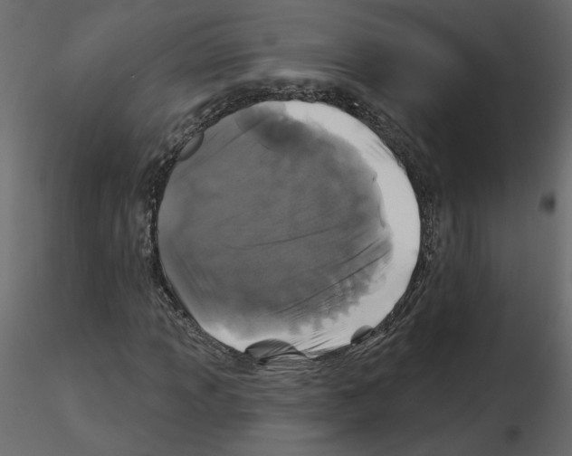 X0000115691013200912241457
