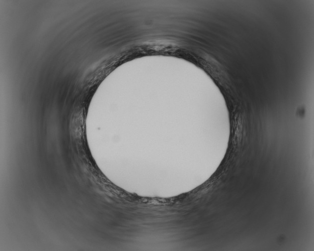 X0000115691014200912241457