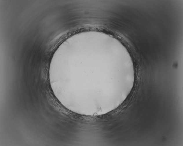X0000115691015200912241457
