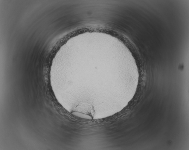 X0000115691016200912241457