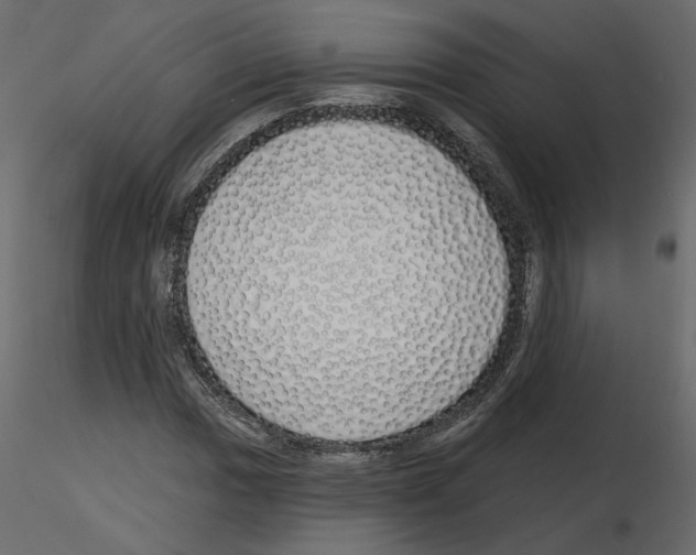 X0000115691017200912241457
