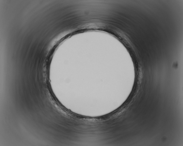 X0000115691018200912241457