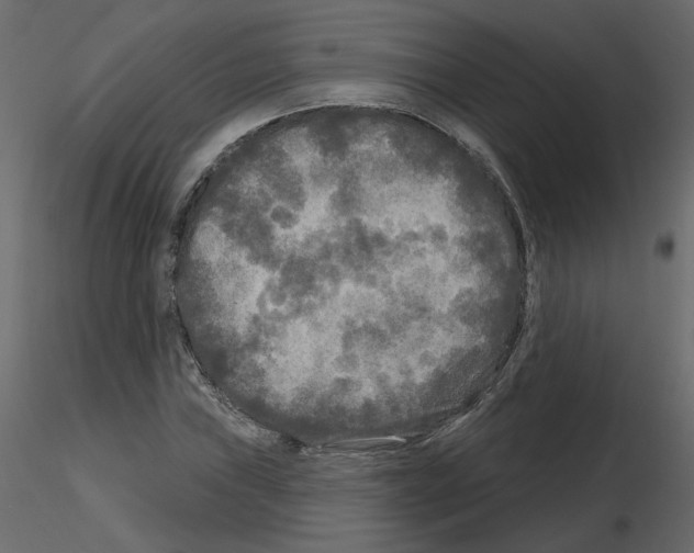 X0000115691019200912241457
