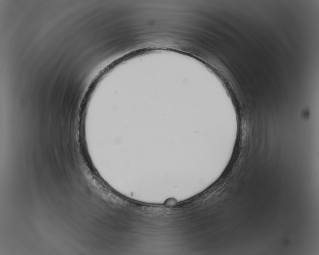 X0000115691020200912241457
