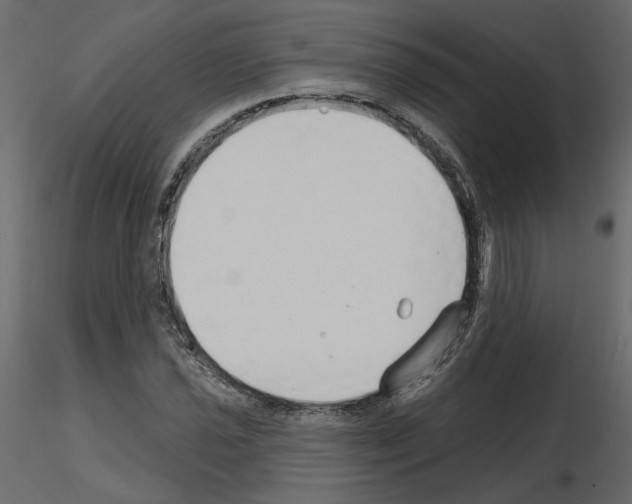X0000115691021200912241457