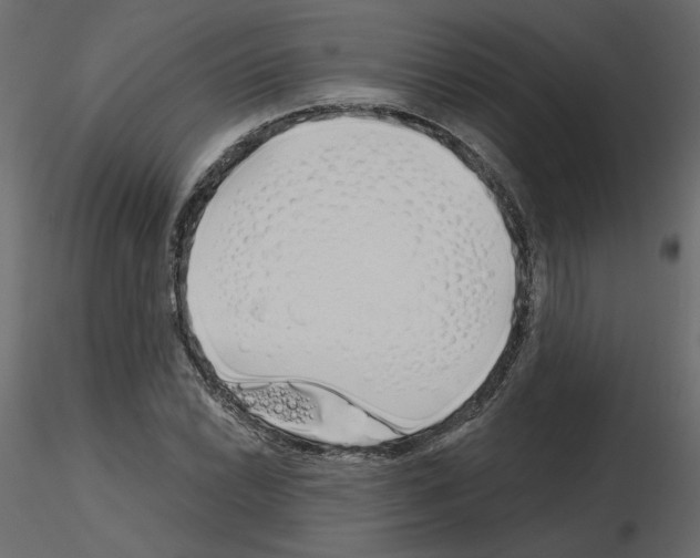 X0000115691022200912241457