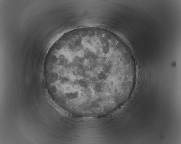 X0000115691023200912241457
