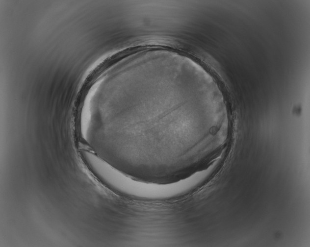 X0000115691024200912241457