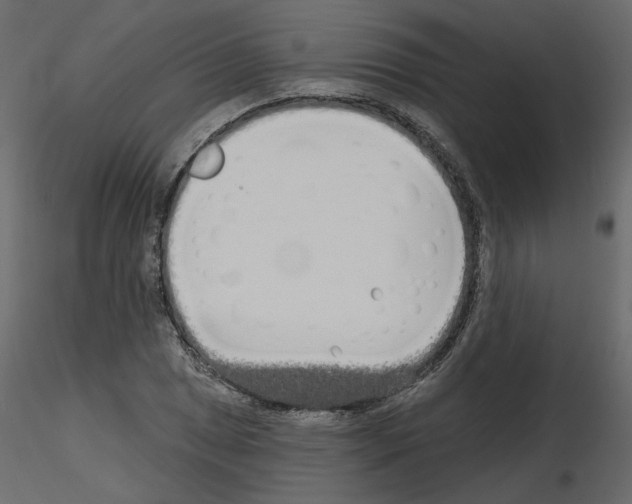 X0000115691025200912241457