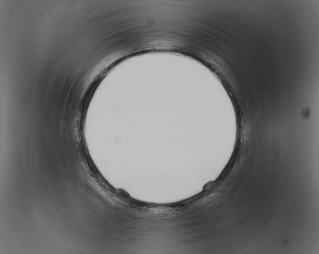 X0000115691026200912241457
