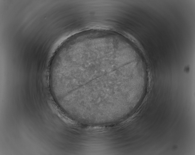 X0000115691027200912241457