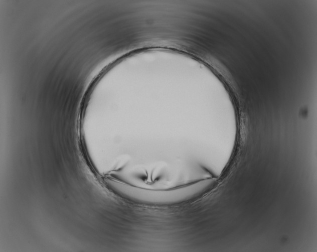 X0000115691028200912241457