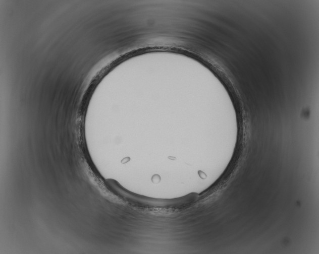 X0000115691029200912241457