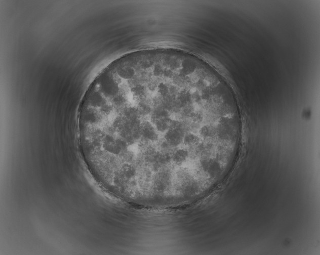 X0000115691031200912241457
