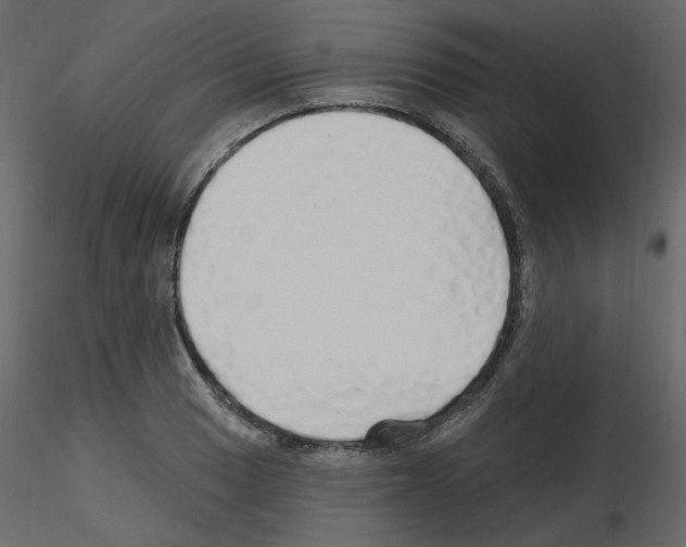 X0000115691033200912241457