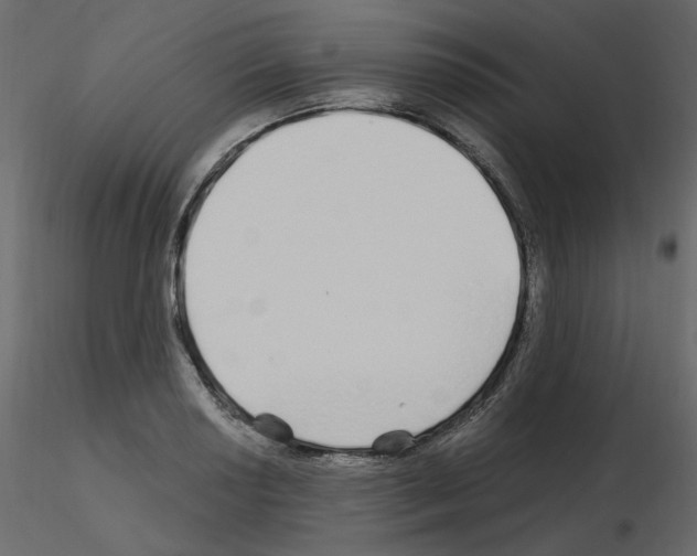 X0000115691034200912241457