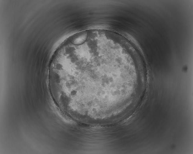 X0000115691035200912241457