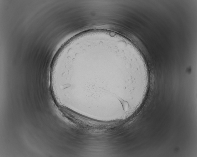 X0000115691036200912241457