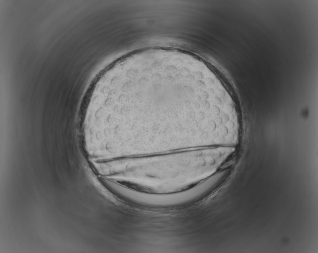 X0000115691037200912241457