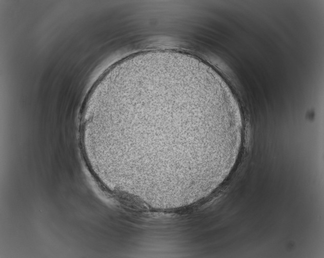 X0000115691039200912241457
