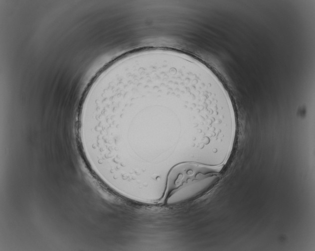 X0000115691040200912241457