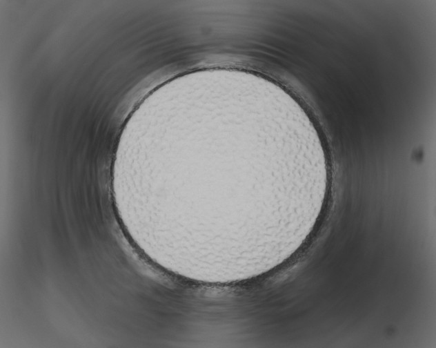 X0000115691041200912241457