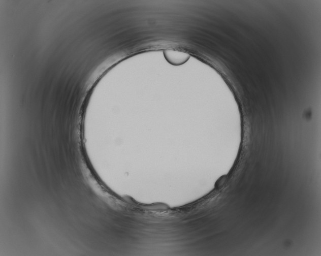 X0000115691042200912241457