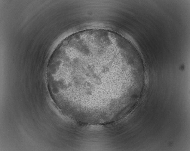 X0000115691043200912241457