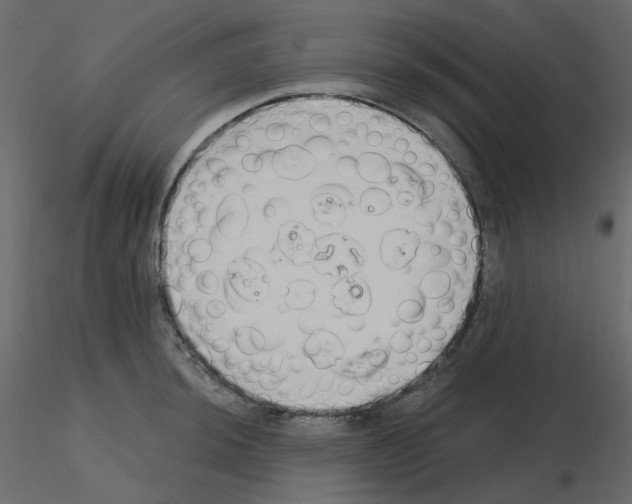 X0000115691044200912241457