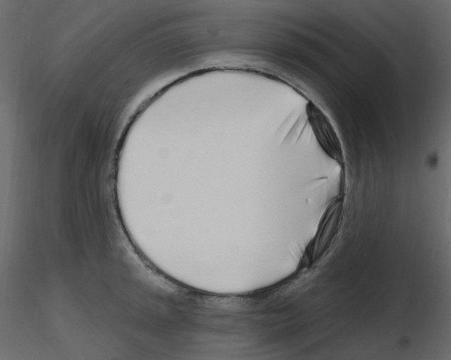 X0000115691045200912241457