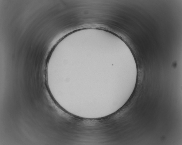 X0000115691046200912241458