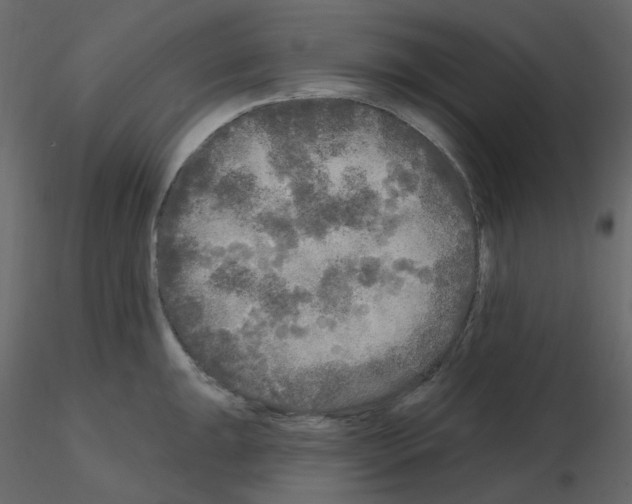 X0000115691047200912241458