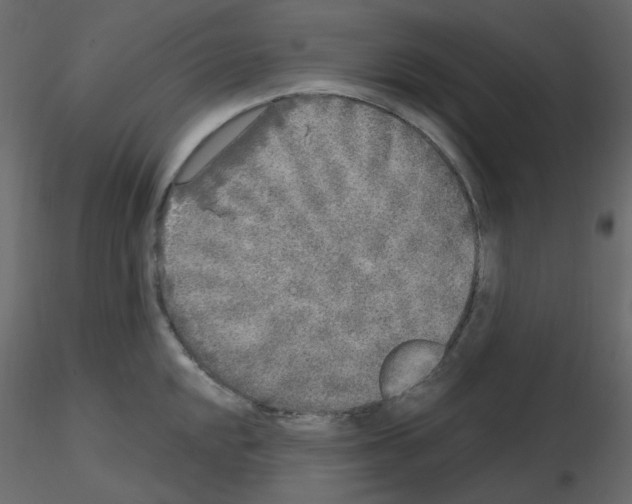 X0000115691048200912241458