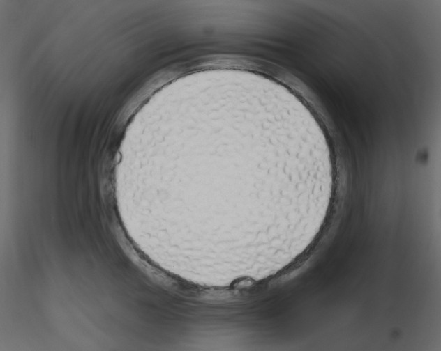 X0000115691049200912241458
