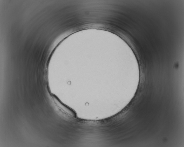 X0000115691050200912241458
